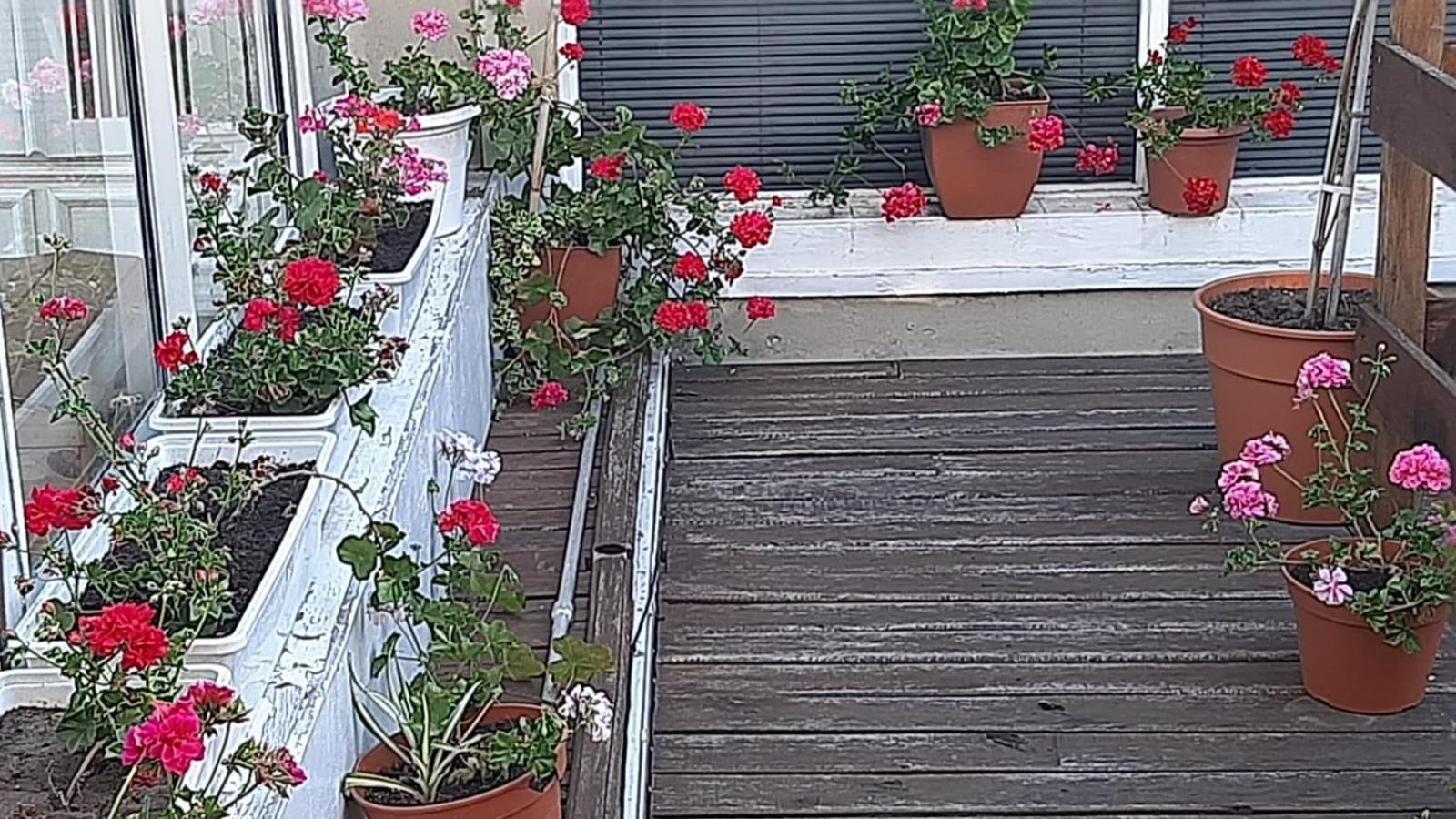 San Francisco Apartment Мар дел Плата Екстериор снимка